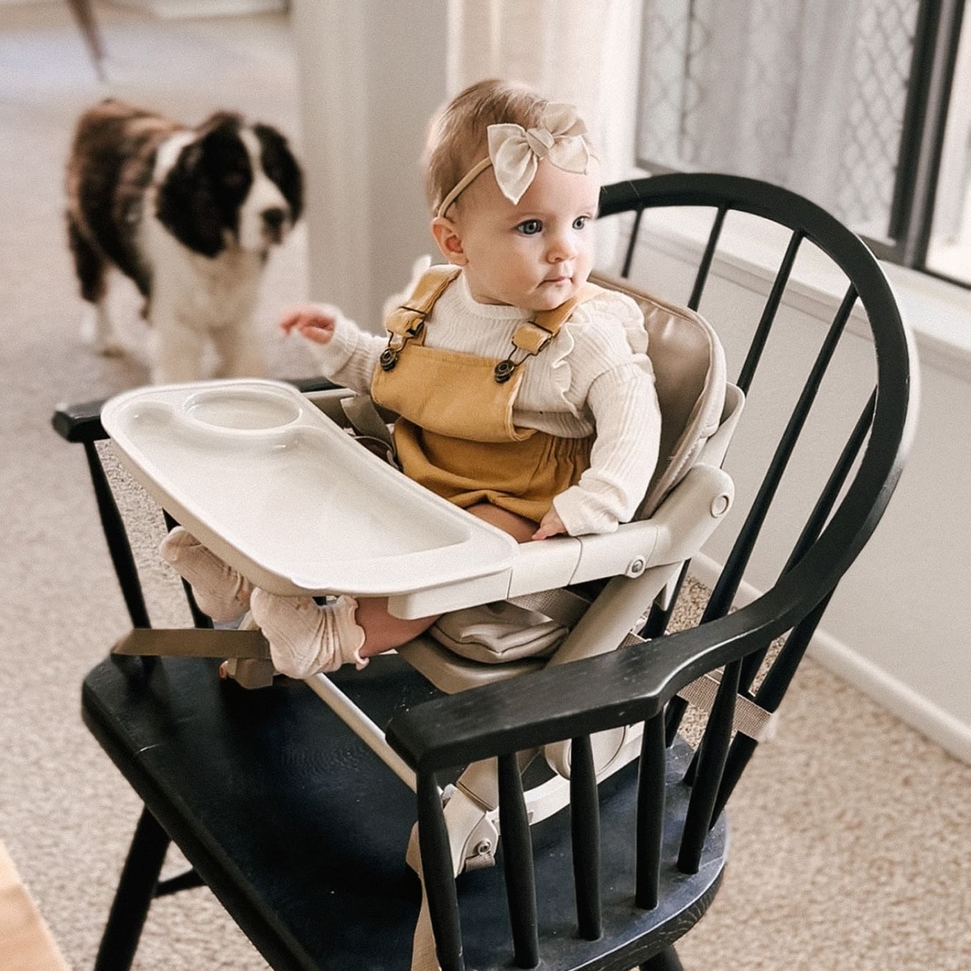 booster seat attach with all kinds of table High Chair on Chair